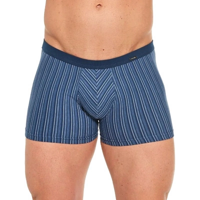 Boxershorts Verschiedene Mini-Streifen 228