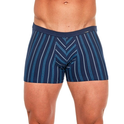 Boxershorts Verschiedene Mini-Streifen 228