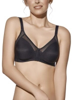 Soft-BH Estela Schwarz