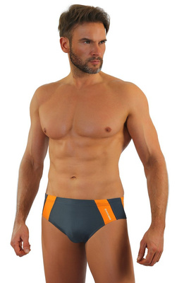 Bade-Slips Herrenserie Grau