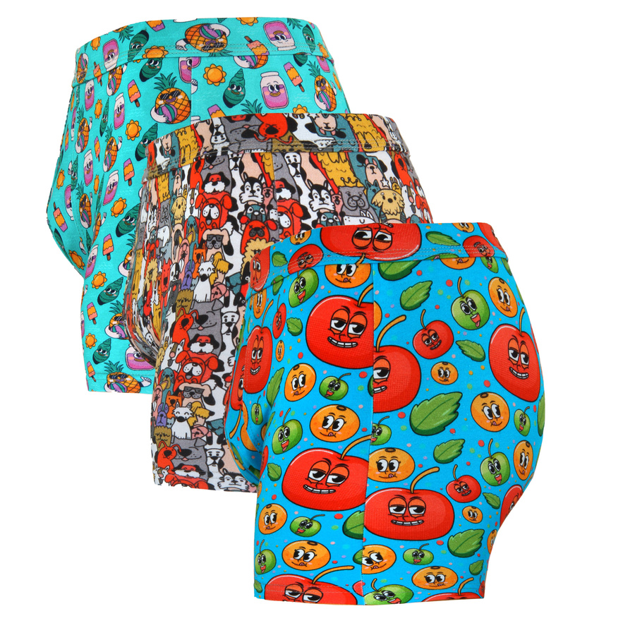 Herren-Boxershorts Funny 09 Mehrfarbig