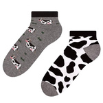 Damen/Herren farbige Socken Cow grey Mehr Mode