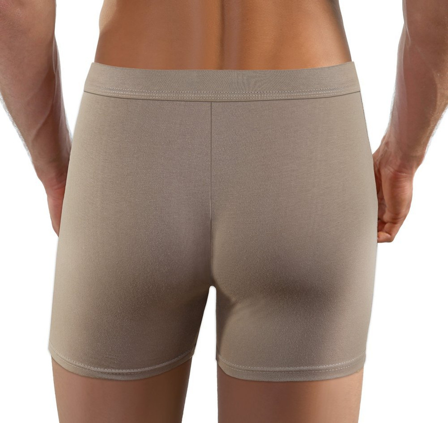 Herren-Boxershorts Neutral