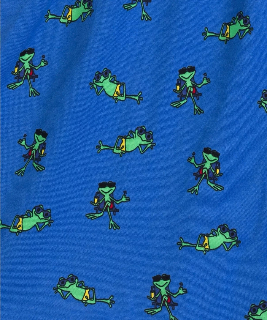 Boxeri Bărbați Panther BM01 Multicolori