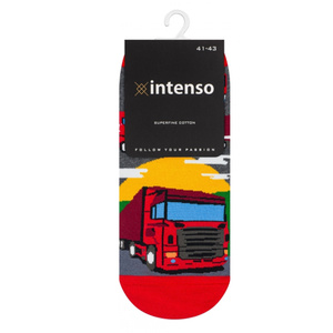 Herrensocken Kunst. 0549 WZ. 003 Intenso