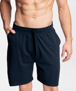 UNIFARBENE HOSENSHORTS