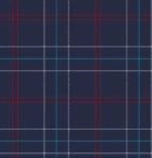 Koszula nocna męska 110/08 Cornette