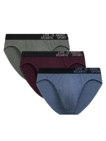 Atlantic Herren Sport Slips 3er Pack – Bequeme Baumwollunterwäsche, Atmungsaktiv, Elastischer Bund, Melange Grün, Weinrot, Blau, 95% Baumwolle, Für Männer, Herbst/Winter 2025 Kollektion