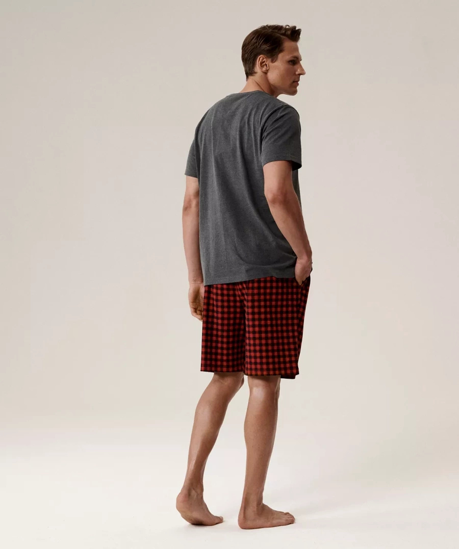 Herren Schlafanzug Serie nmp-397 Grau Rot