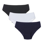 Damen Slips Serie BDM301 Mix