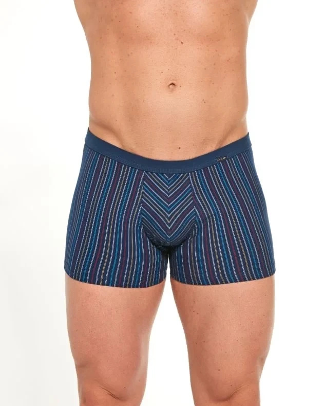 Boxershorts Verschiedene Mini-Streifen 228