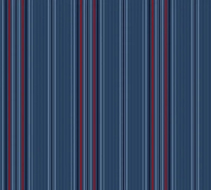 Bokserki AV Mini paski 228/127