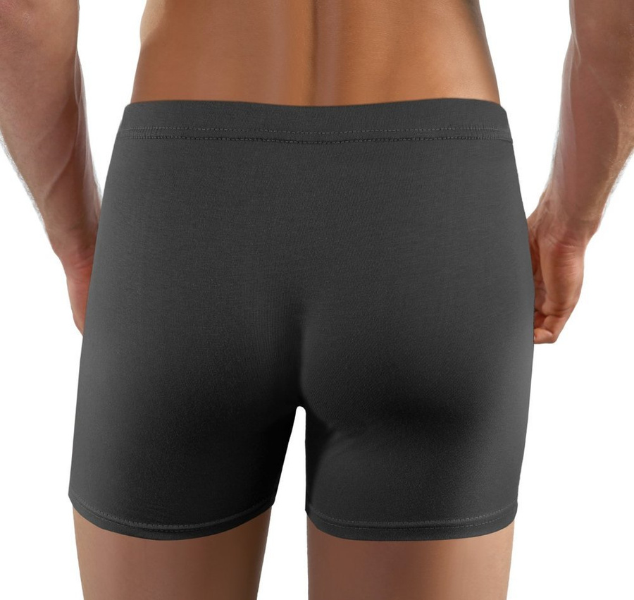 Lizard Herren Boxershorts