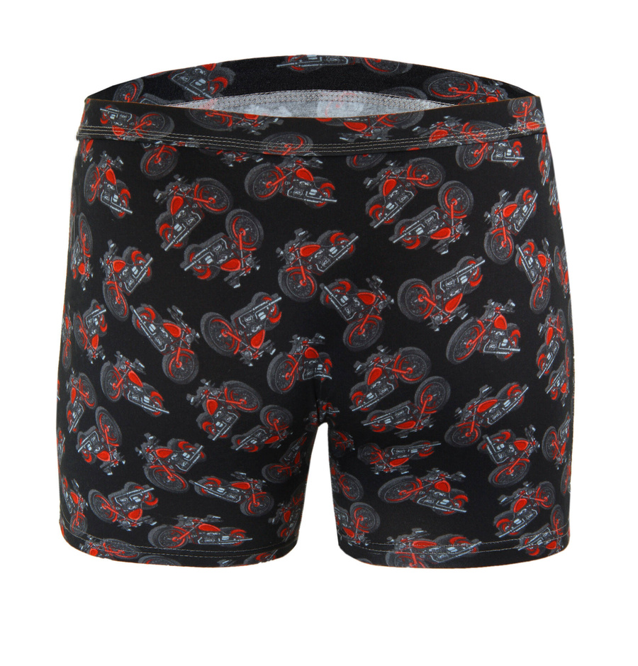 Herren-Boxershorts Funny 09 Mehrfarbig