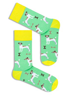 Jack Russell Dogs Socken für Männer, Farbe Pastellgrün