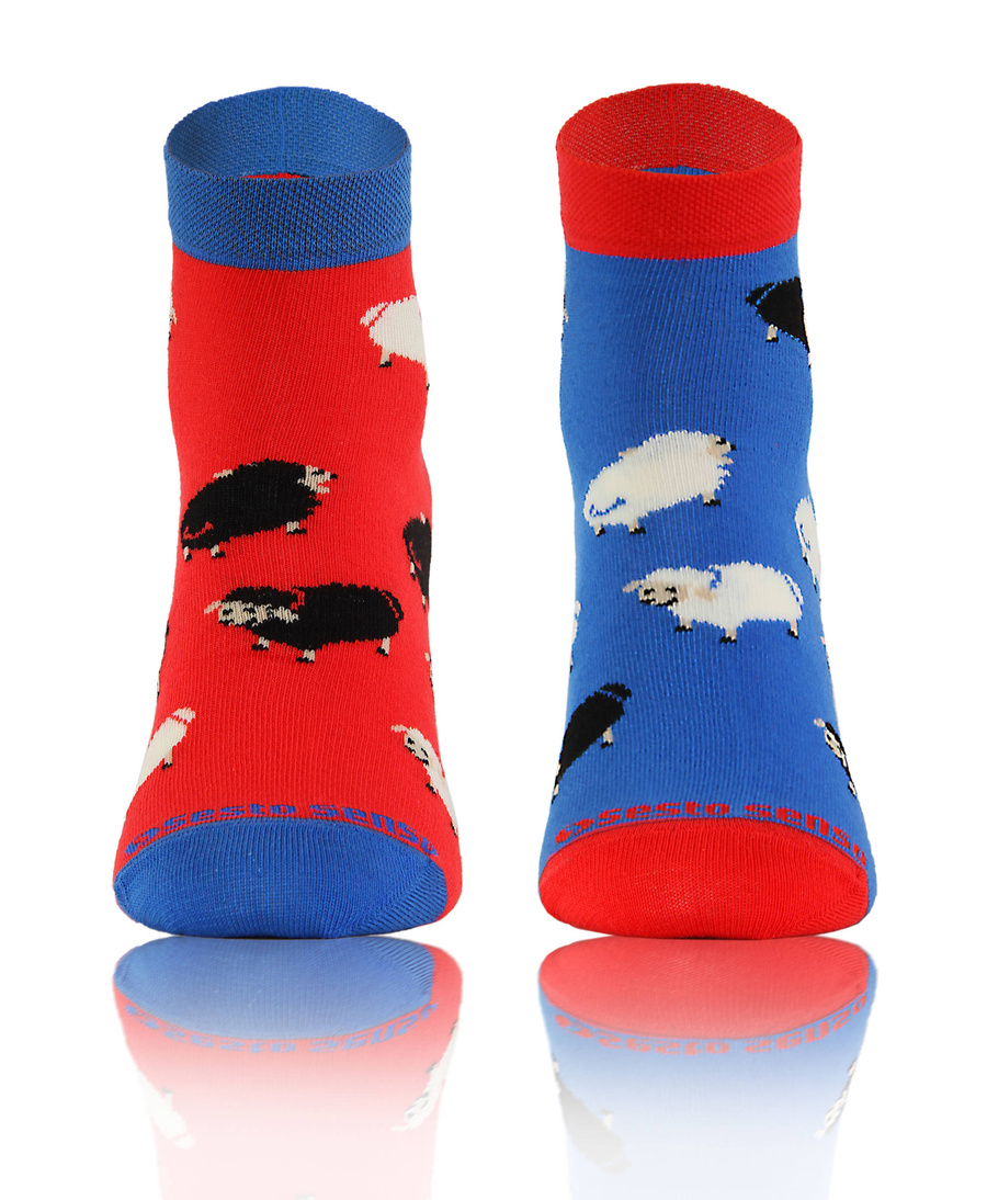 Kolorowe śmieszne ZAKOSTKI SKARPETY FINEST Sesto Senso