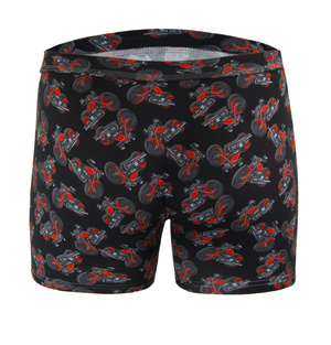 Herren-Boxershorts Funny 09 Mehrfarbig