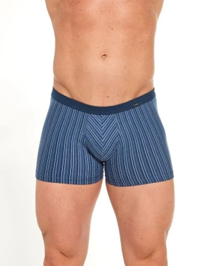 Boxershorts Verschiedene Mini-Streifen 228