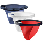 white || niebieski || red