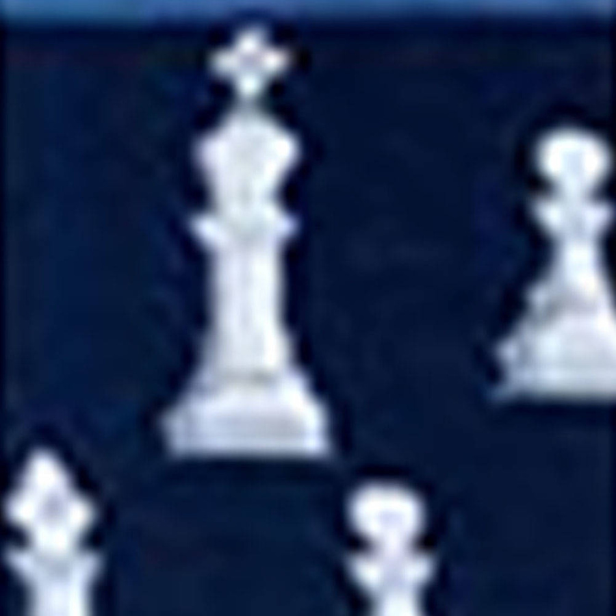 Socken Serie Avangard 0125