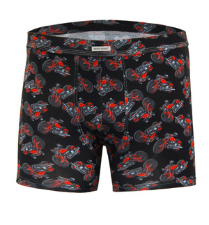 Herren-Boxershorts Funny 09 Mehrfarbig