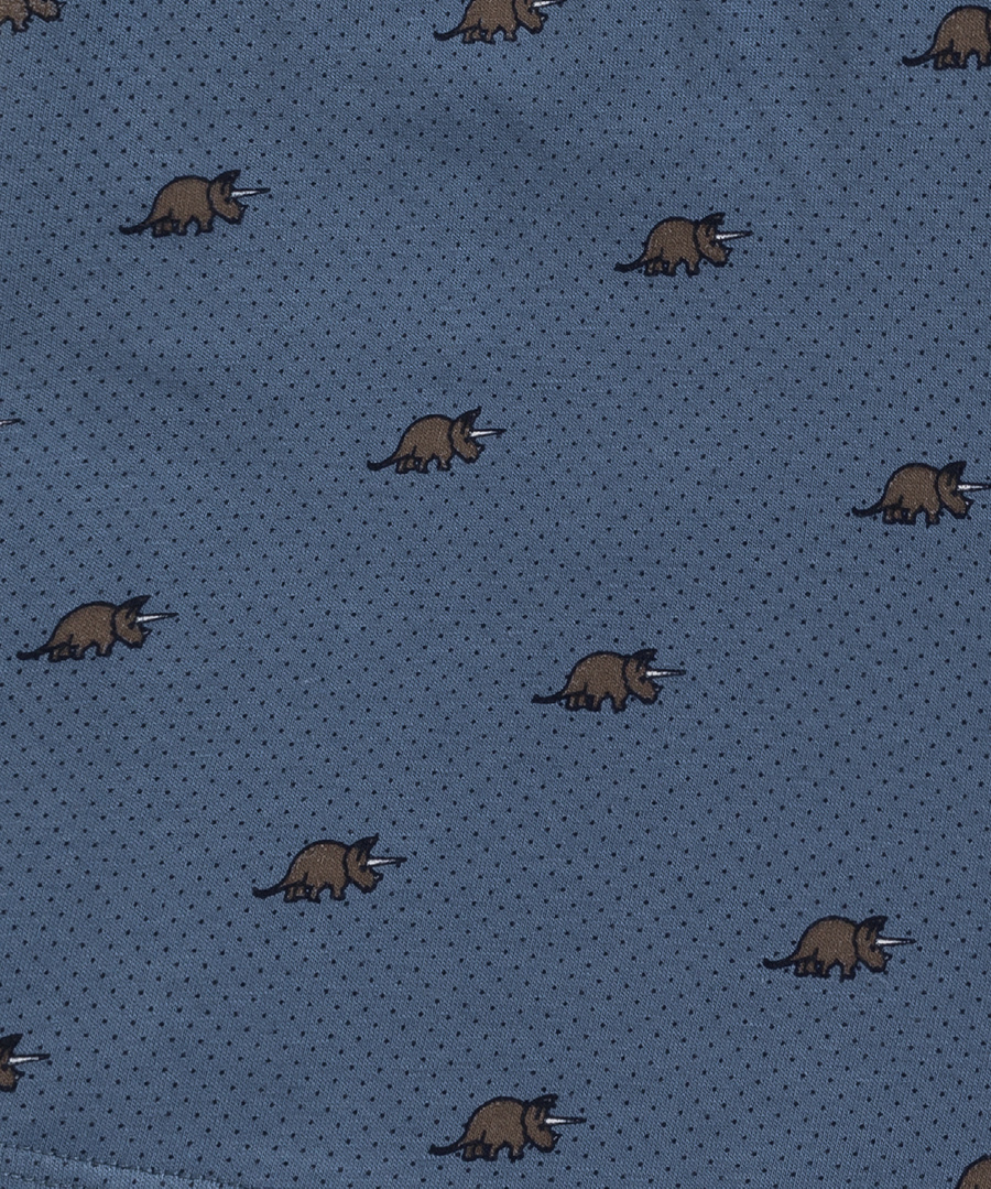 Boxeri bărbătești Seria 3MH-191 albastru, gri