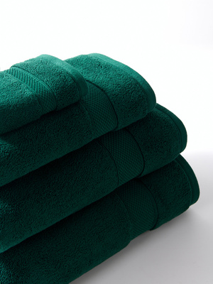 S TOWEL 100*150 LEO BOTTLE