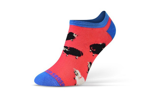 Skarpetki Stopki Casual