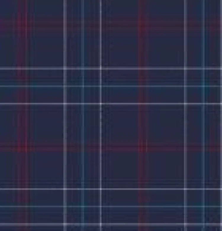 Koszula nocna męska 110/08 Cornette