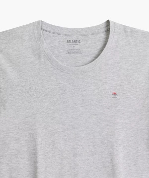 Schlafanzug Herren Nmp-384 Grau/Marineblau