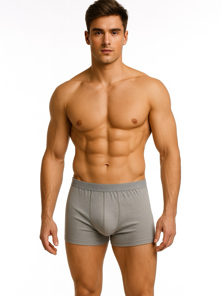 Herren-Boxershorts Serie Grau