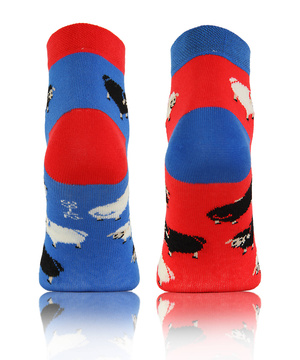 Kolorowe śmieszne ZAKOSTKI SKARPETY FINEST Sesto Senso