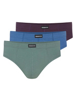 Classic 3-pack briefs