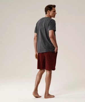 Herren Schlafanzug Serie nmp-397 Grau Rot