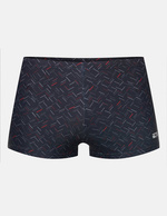 Herren Globe Swim Boxershorts Henderson