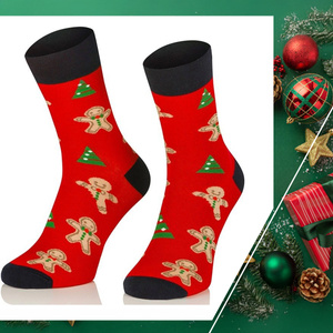 Socken 1887 Mehrfarbig