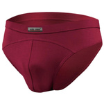 Herrenslips SM03 Bordeaux