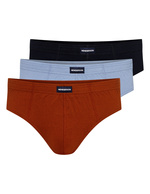 Classic 3-pack briefs