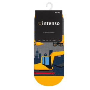 Herrensocken Kunst. 0549 WZ. 002 Intenso