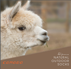 Socken aus Alpakawolle