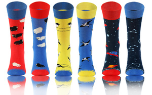 Chiloți bărbătești SM03 Gri