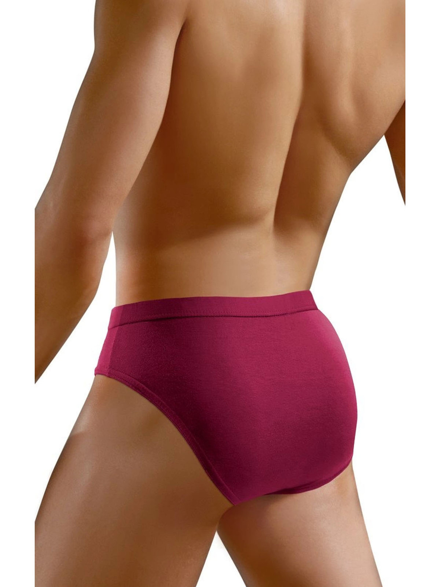 Herrenslips SM03 Bordeaux