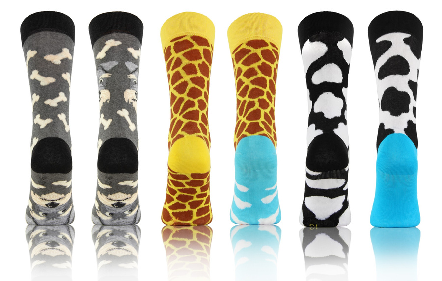 Sesto Senso Damen Bunte Skarpetten – Hochwertige Baumwolle, Lustige Muster Krowa, Pies, Żyrafa, 3er Set, Bequem und Atmungsaktiv, Ideal für Alltag und Sport, Größe 35-38, Vielseitig Kombinierbar