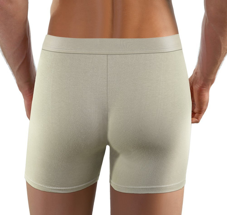 Herren-Boxershorts Neutral