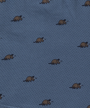 Boxeri bărbătești Seria 3MH-191 albastru, gri