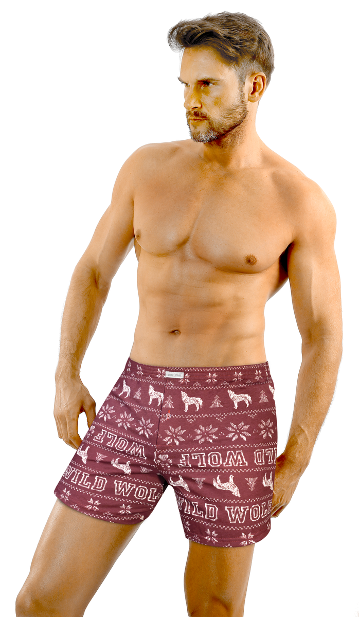 Boxershorts BM01 Grau