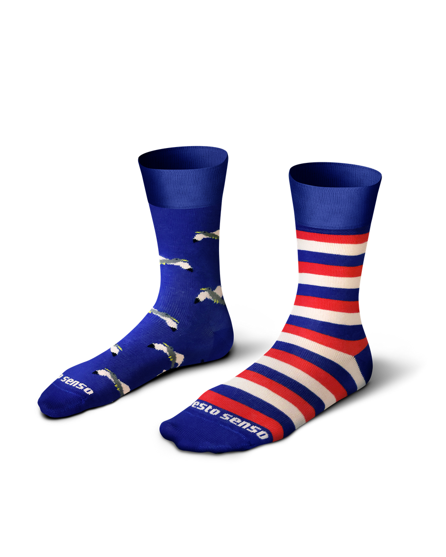 Sesto Senso Herren Skarpetki – Lange Baumwollsocken mit Löwenmotiv, Bunte Farben, Atmungsaktiv und Bequem, Vielseitig für Alltag und Elegante Outfits, Ideal für Sport und Freizeit, Neu