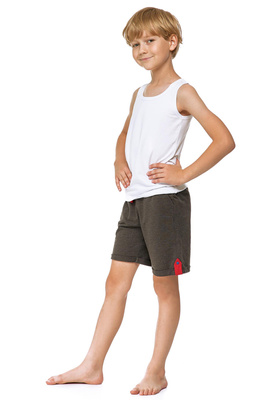 Boxeri Bărbați Panther BM01 Multicolori