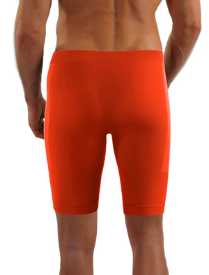 Thermo-Shorts CL41 