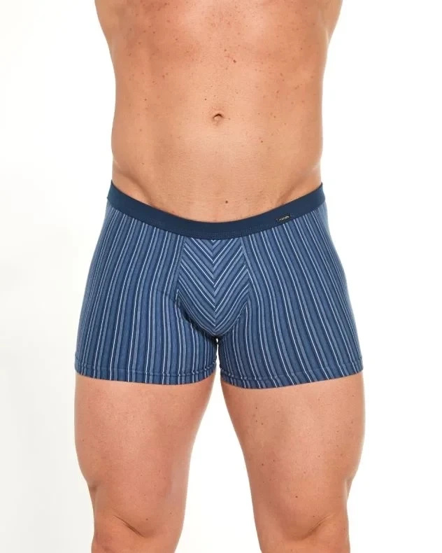 Boxershorts Verschiedene Mini-Streifen 228